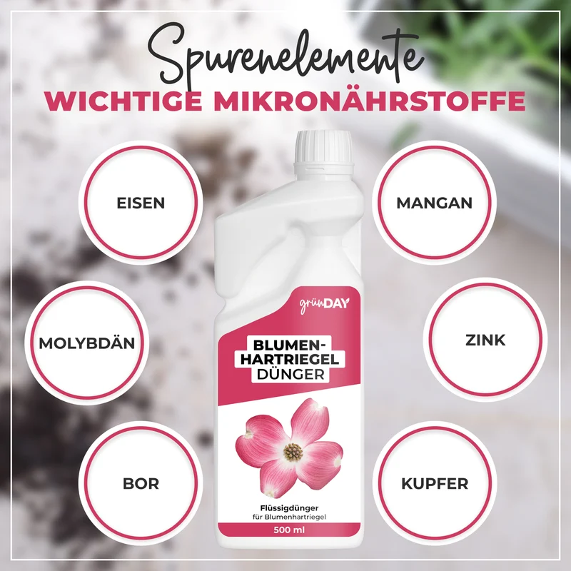 Blumenhartriegel-Flüssigdünger 500 ml