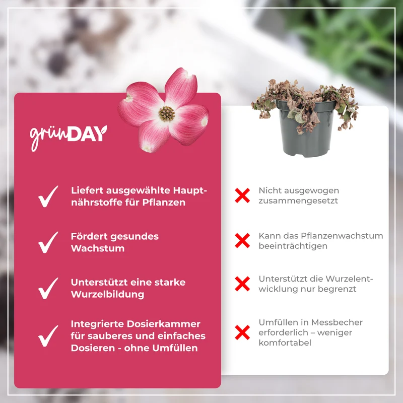 Blumenhartriegel-Flüssigdünger 500 ml