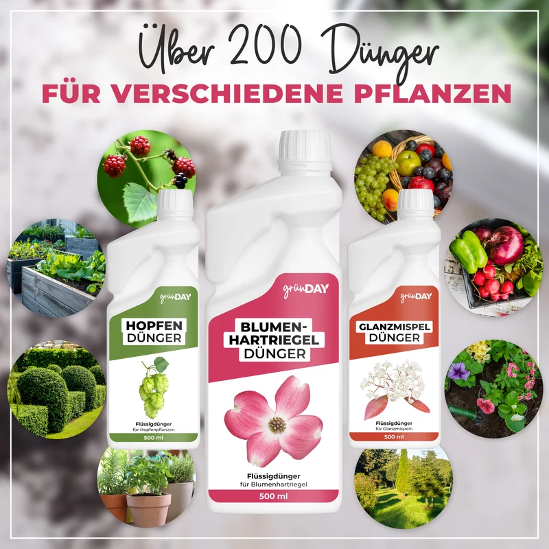 Blumenhartriegel-Flüssigdünger 500 ml