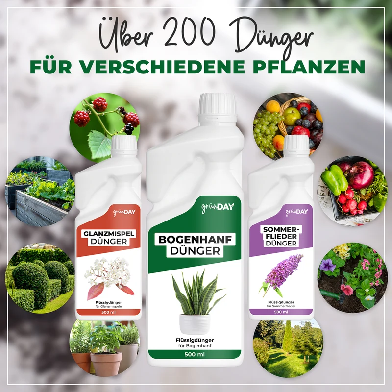 Bogenhanf-Flüssigdünger 500 ml