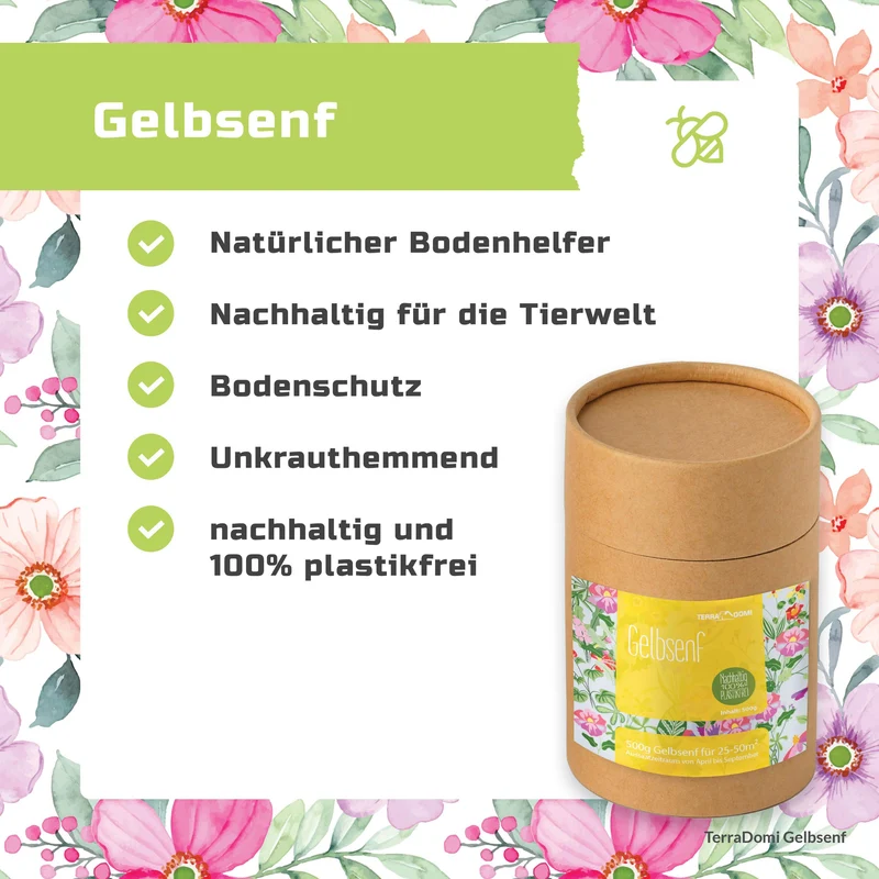 TerraDomi 500g Gelbsenf I Kreuzblütler