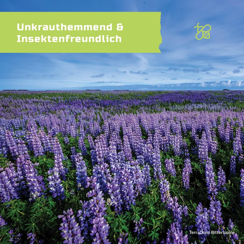 TerraDomi 500g Bitterlupinen I tiefwurzelnd und bodenauflockernd