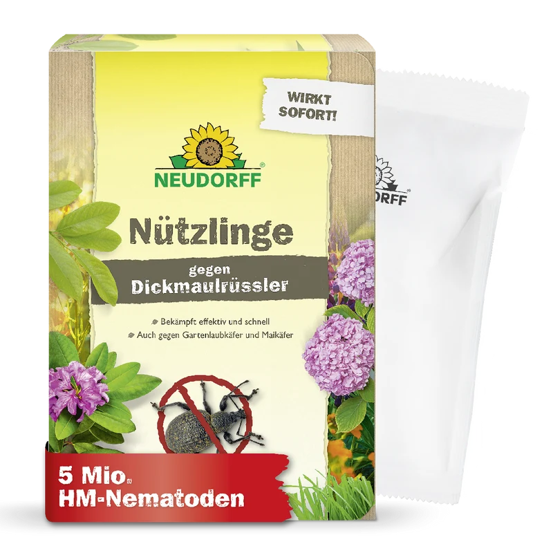 Nützlinge gegen Dickmaulrüssler