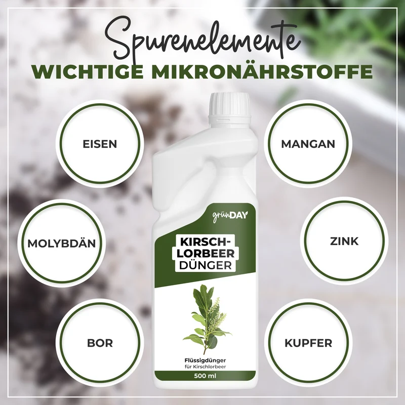 Kirschlorbeer-Flüssigdünger 500 ml