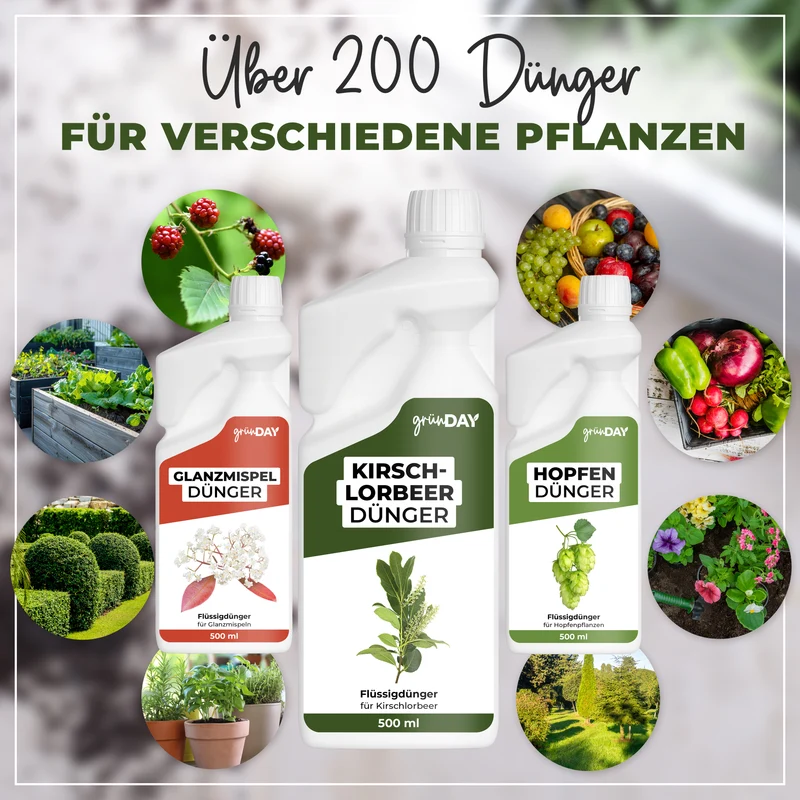 Kirschlorbeer-Flüssigdünger 500 ml