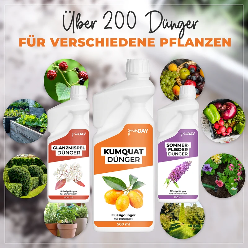 Kumquat-Flüssigdünger 500 ml