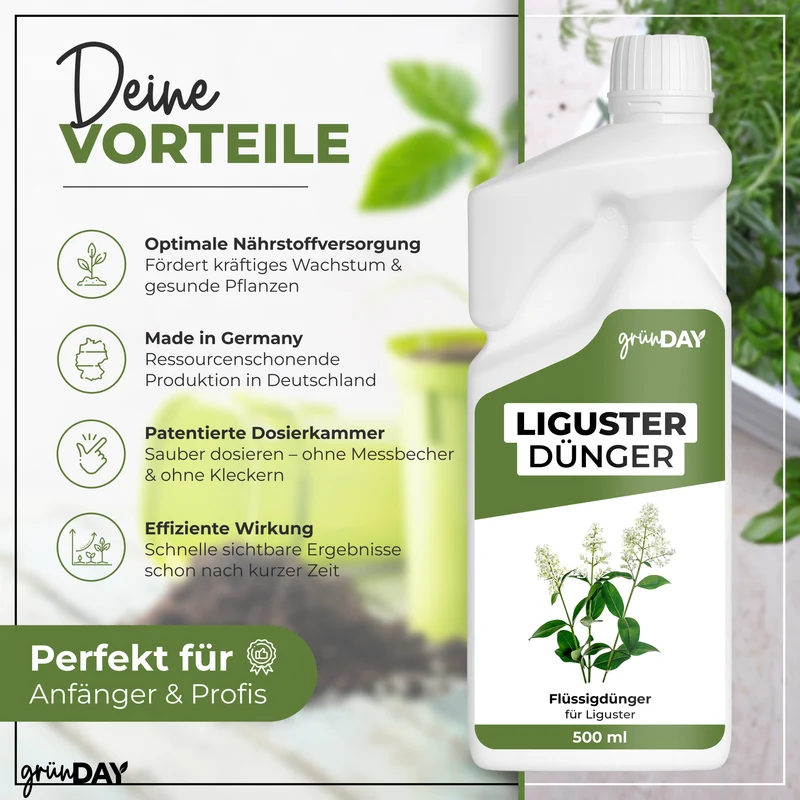 Liguster-Flüssigdünger 500 ml
