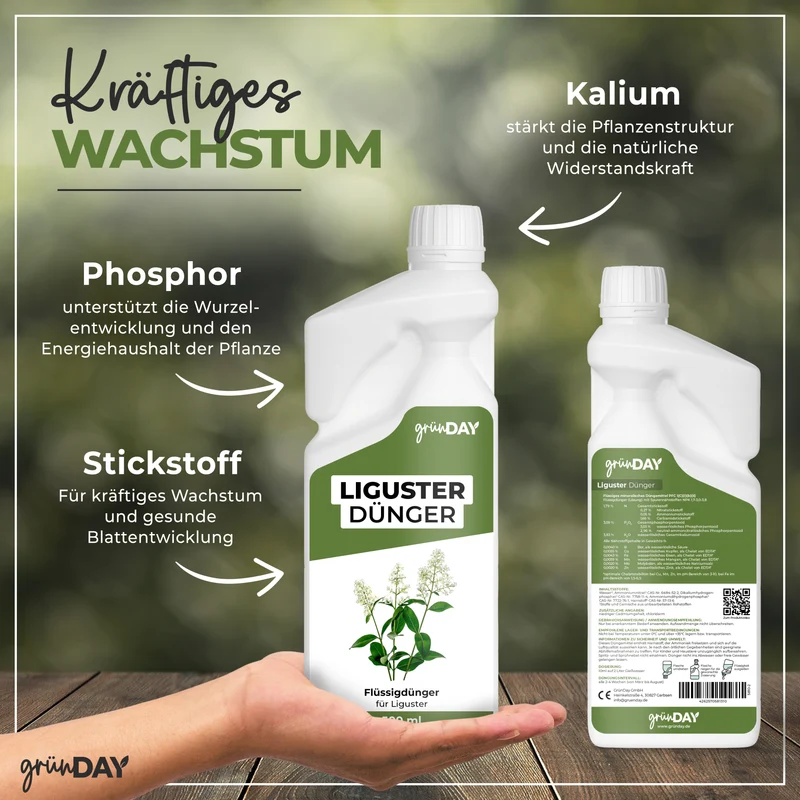 Liguster-Flüssigdünger 500 ml