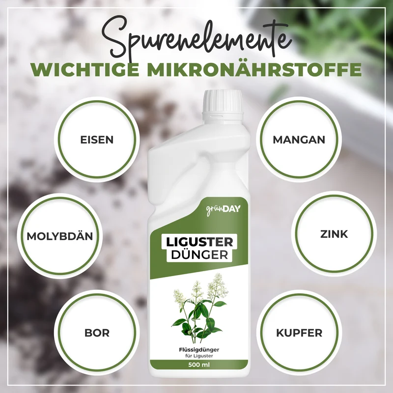 Liguster-Flüssigdünger 500 ml
