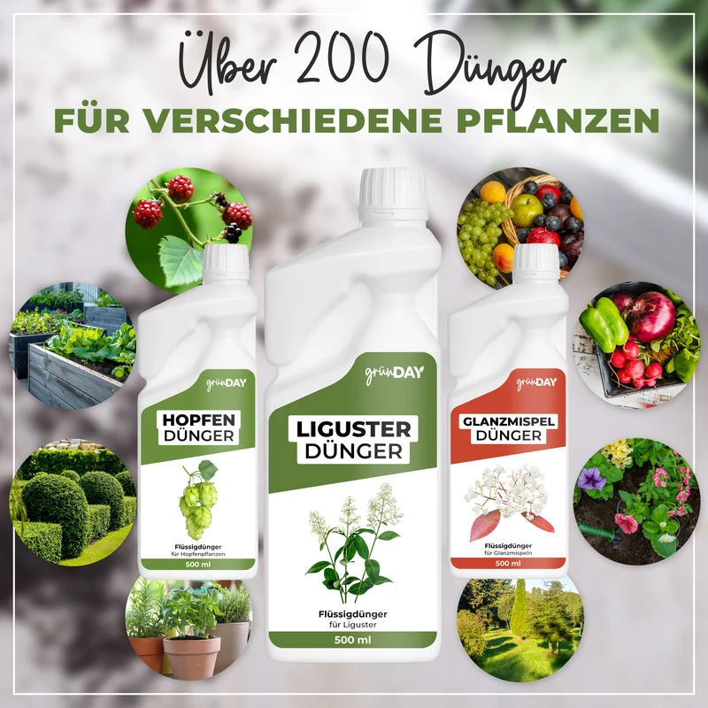 Liguster-Flüssigdünger 500 ml