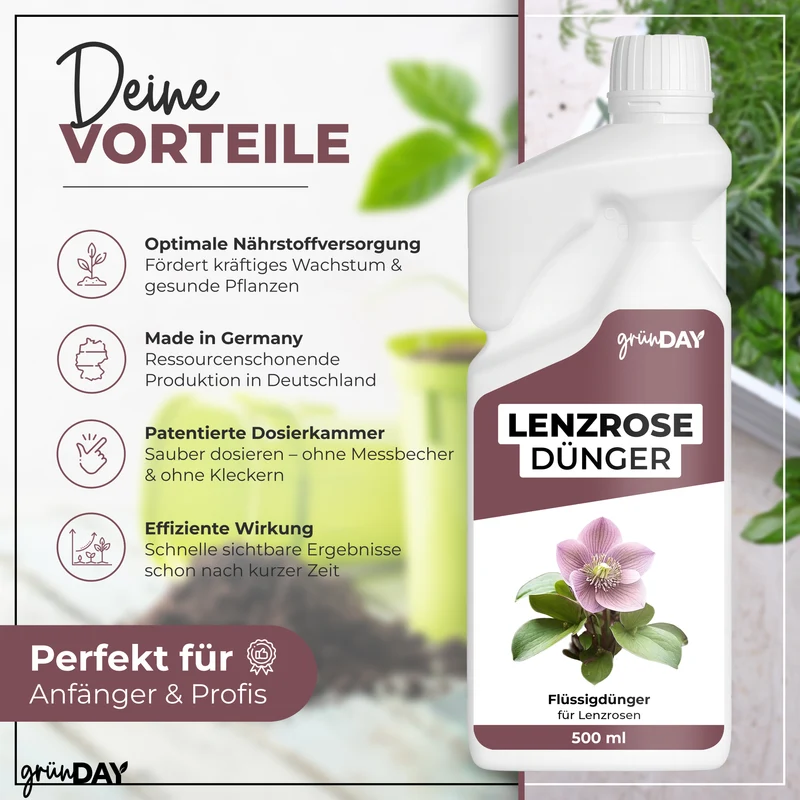 Lenzrose-Flüssigdünger 500 ml