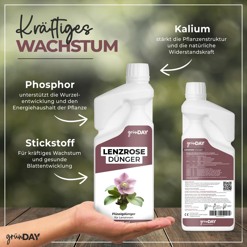 Lenzrose-Flüssigdünger 500 ml