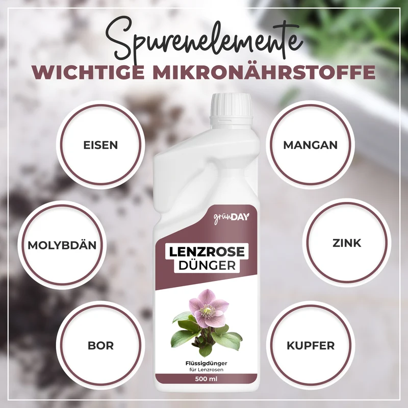 Lenzrose-Flüssigdünger 500 ml