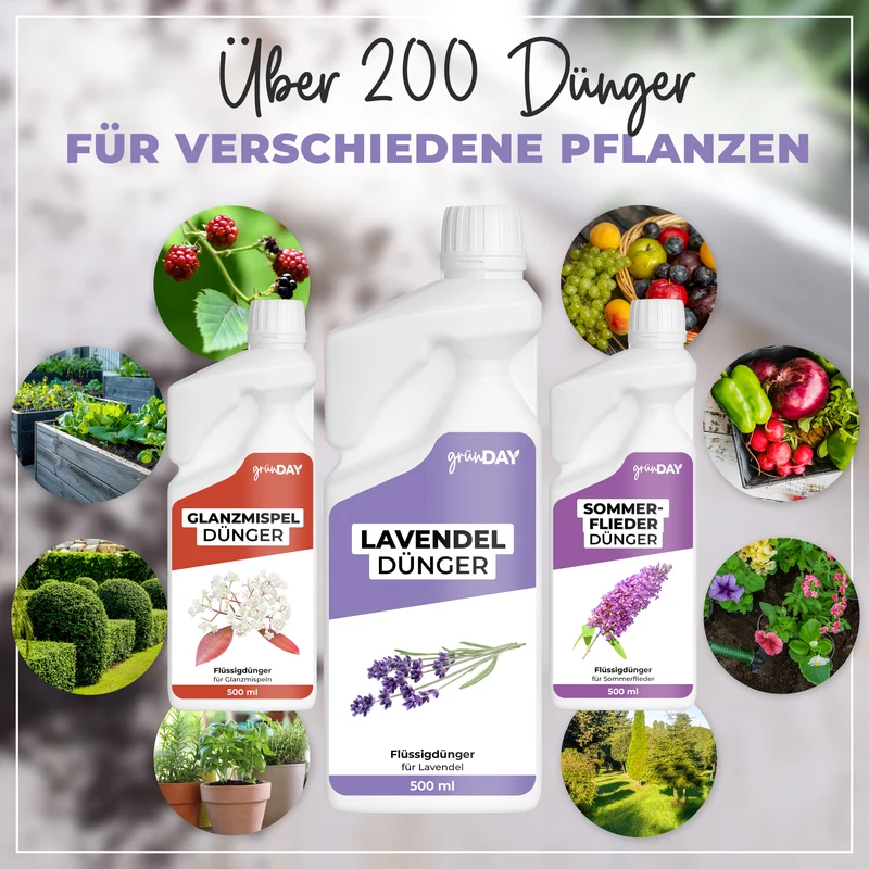 Lavendel-Flüssigdünger 500 ml