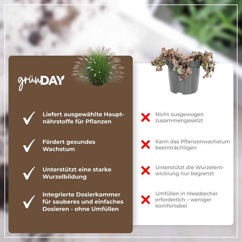 Lampenputzergras-Flüssigdünger 500 ml