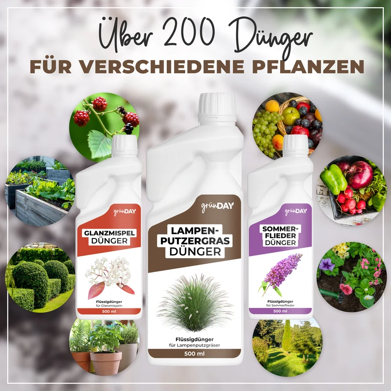 Lampenputzergras-Flüssigdünger 500 ml