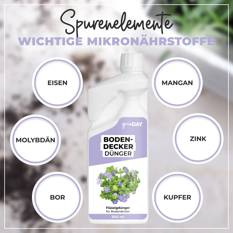 Bodendecker-Flüssigdünger 500 ml