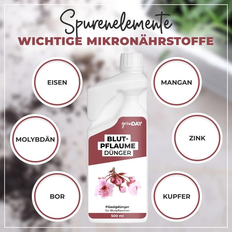 Blutpflaume-Flüssigdünger 500 ml