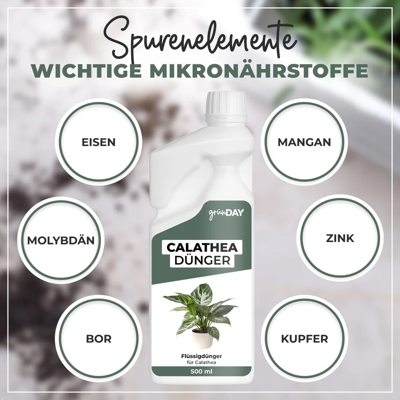 Calathea-Flüssigdünger 500 ml