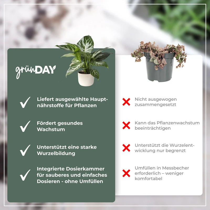 Calathea-Flüssigdünger 500 ml