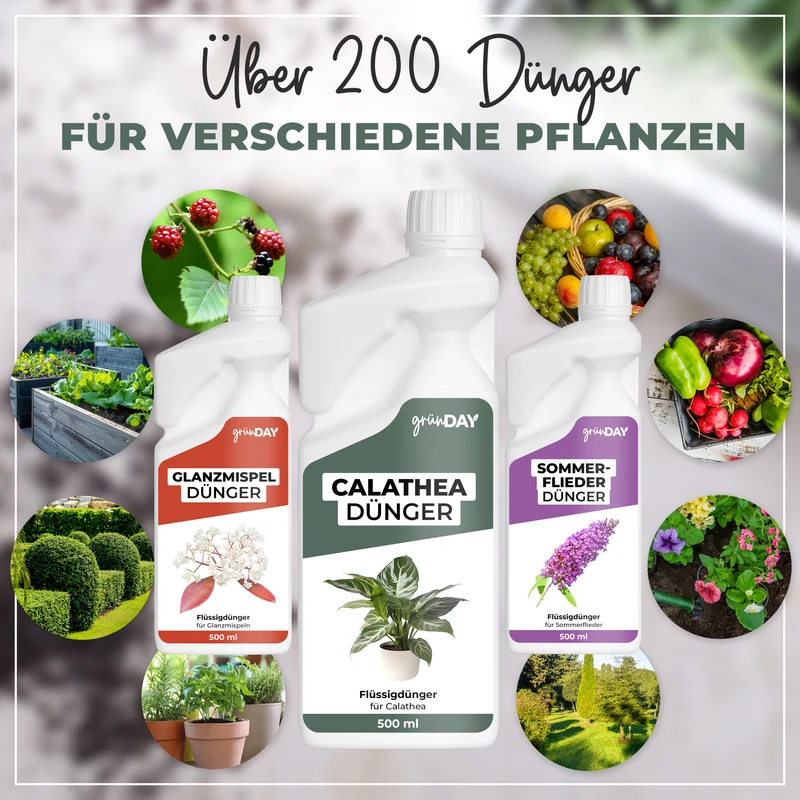 Calathea-Flüssigdünger 500 ml
