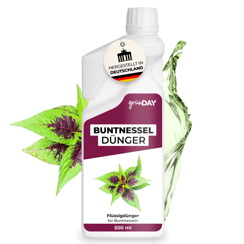 Buntnessel-Flüssigdünger 500 ml