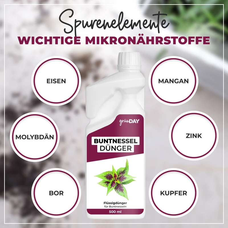 Buntnessel-Flüssigdünger 500 ml