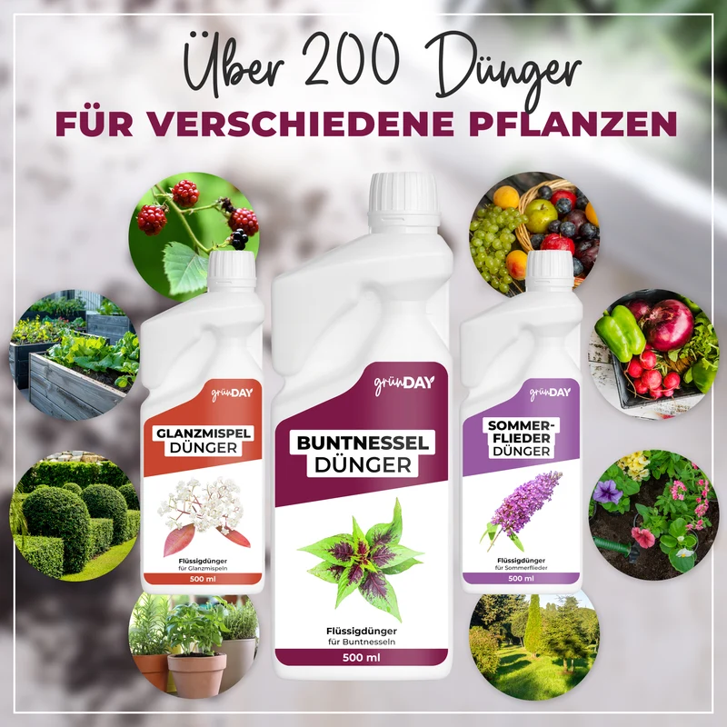 Buntnessel-Flüssigdünger 500 ml