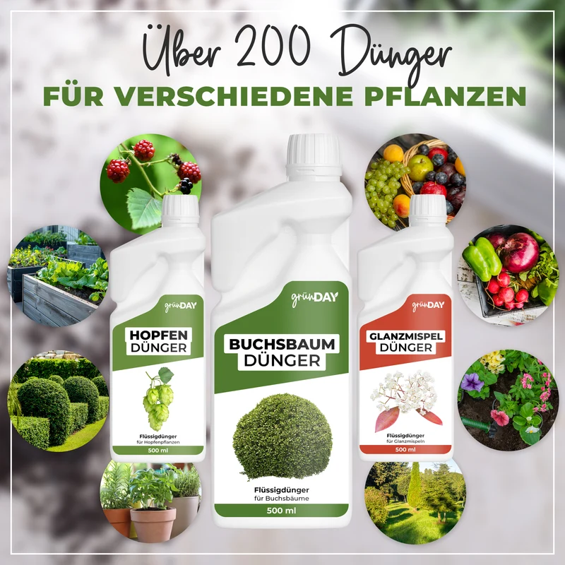 Buchsbaum-Flüssigdünger 500 ml