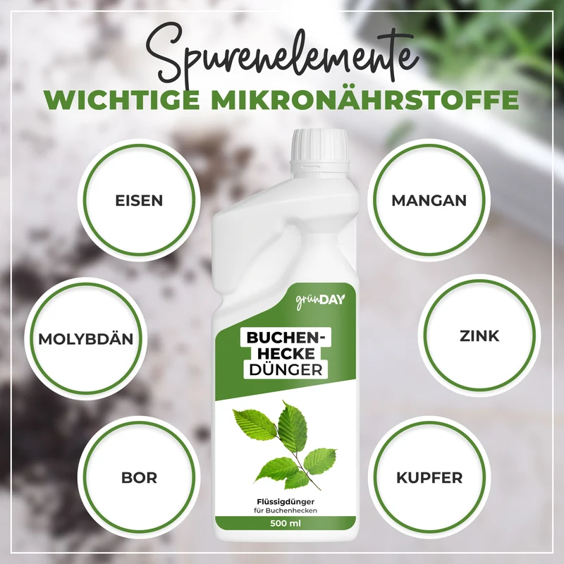 Buchenhecke-Flüssigdünger 500 ml