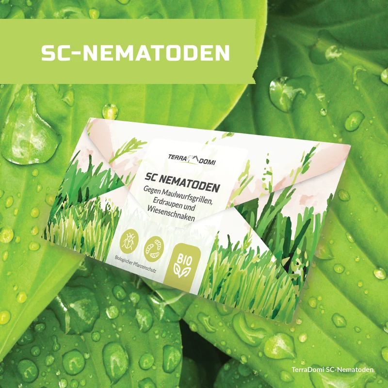 TerraDomi SC Nematoden gegen Maulwurfsgrillen, Erdraupen und Wiesenschnaken