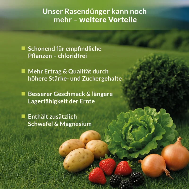 Herbstdünger Kali Dünger Kalium Dünger I Wurzelstärkung und Pflanzenkräftigung
