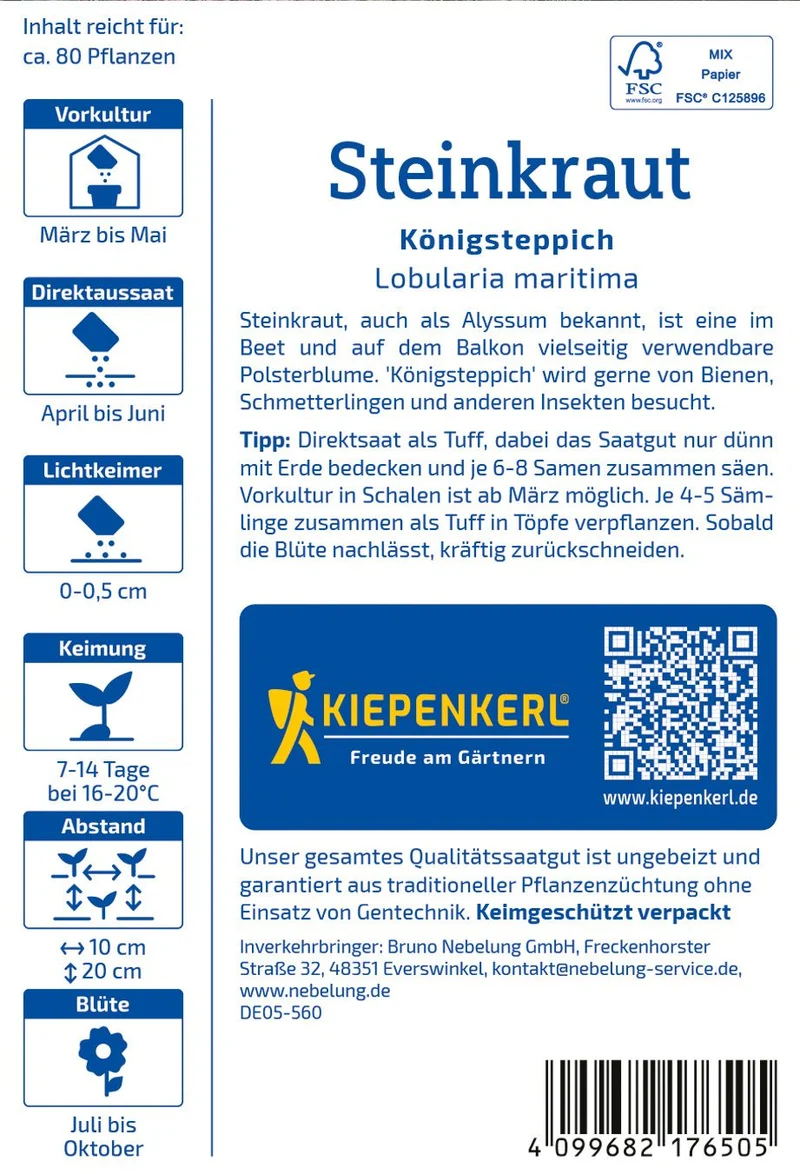 Steinkrautsamen Königsteppich