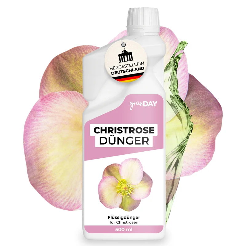 Christrose-Flüssigdünger 500 ml