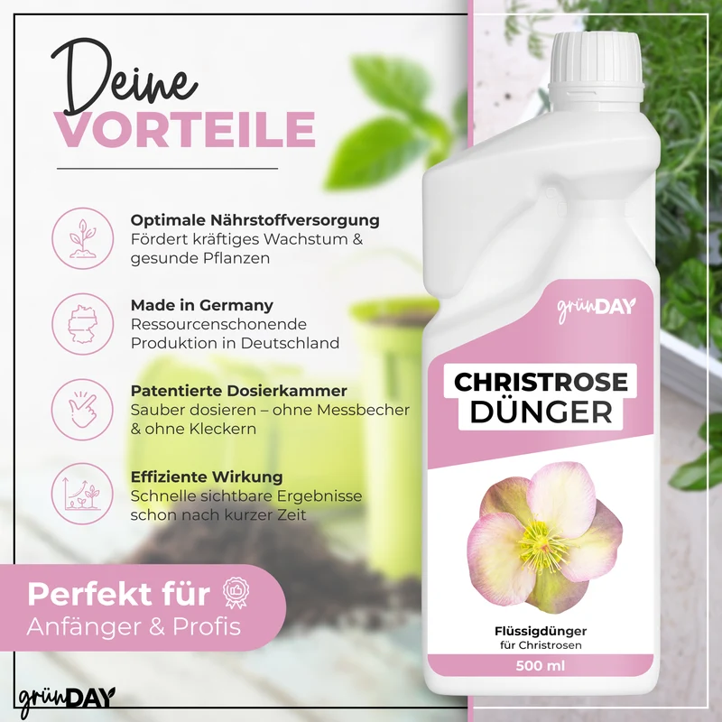 Christrose-Flüssigdünger 500 ml