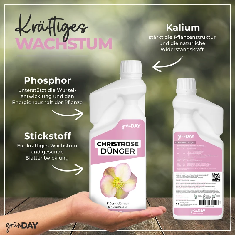 Christrose-Flüssigdünger 500 ml