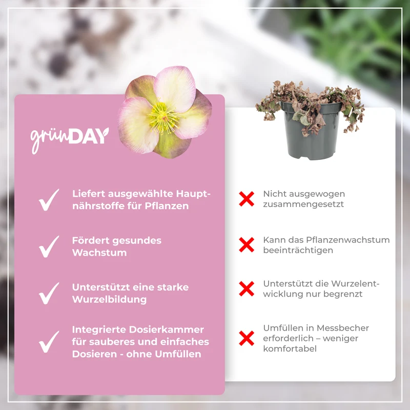 Christrose-Flüssigdünger 500 ml