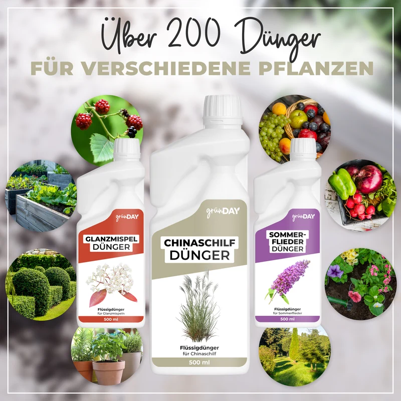 Chinaschilf-Flüssigdünger 500 ml