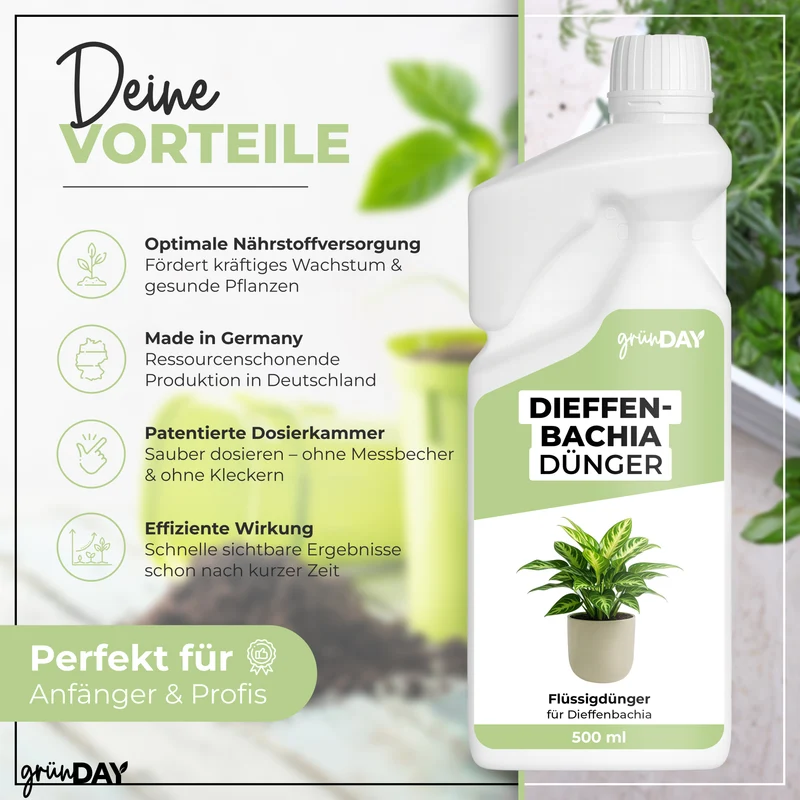 Dieffenbachia-Flüssigdünger 500 ml