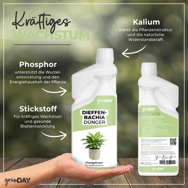 Dieffenbachia-Flüssigdünger 500 ml
