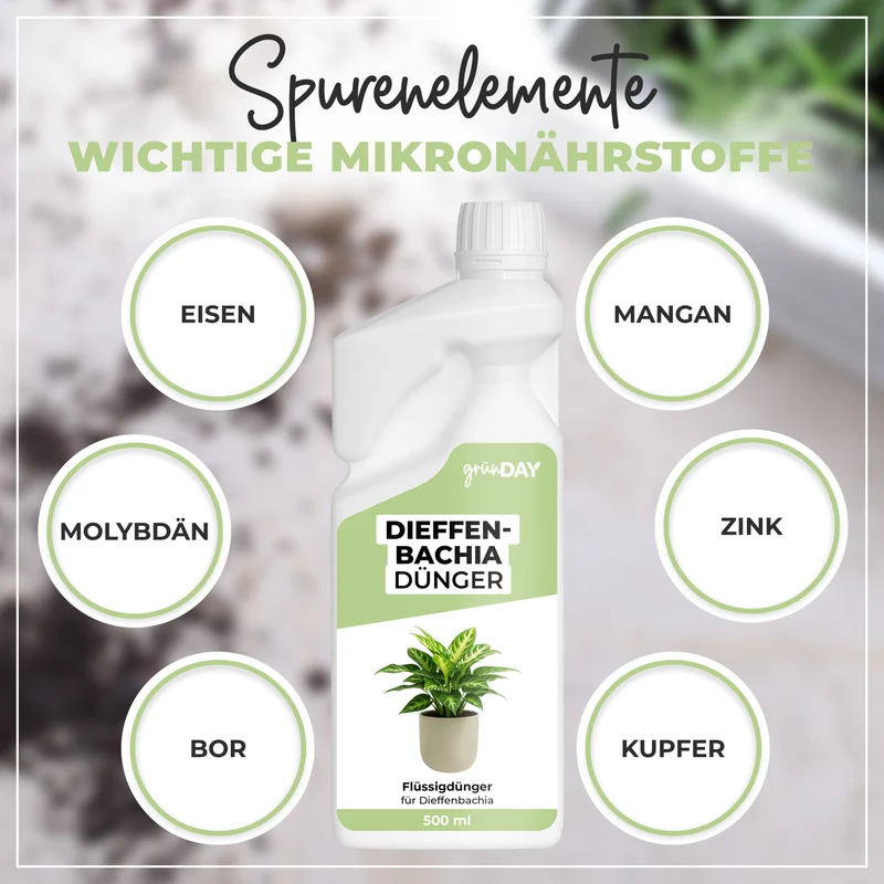 Dieffenbachia-Flüssigdünger 500 ml