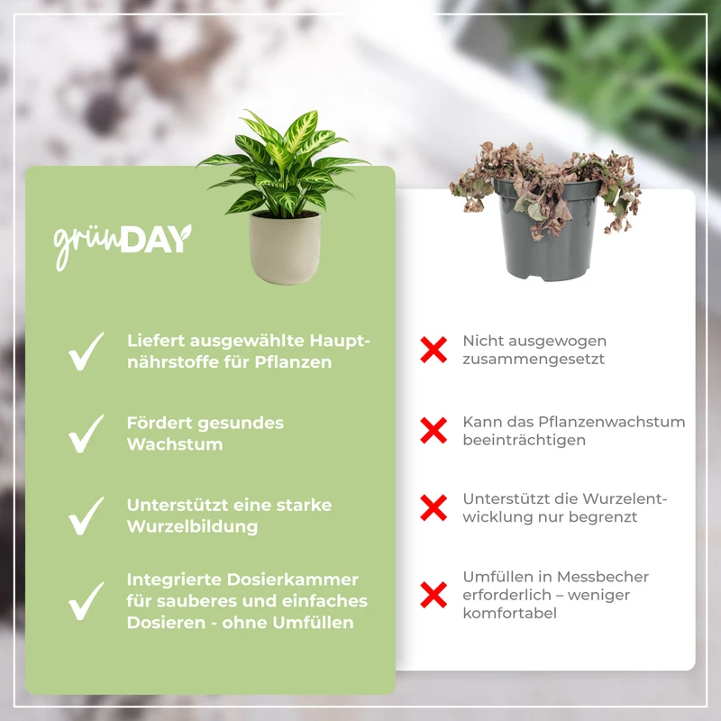 Dieffenbachia-Flüssigdünger 500 ml