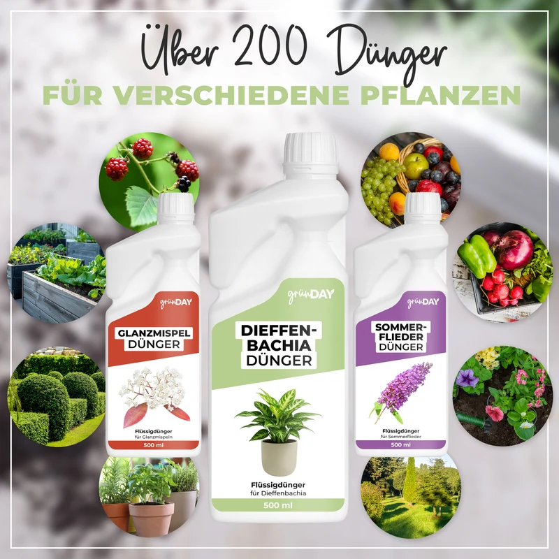 Dieffenbachia-Flüssigdünger 500 ml