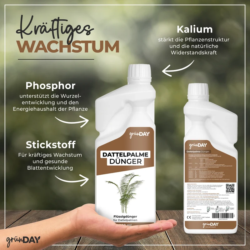 Dattelpalme-Flüssigdünger 500 ml