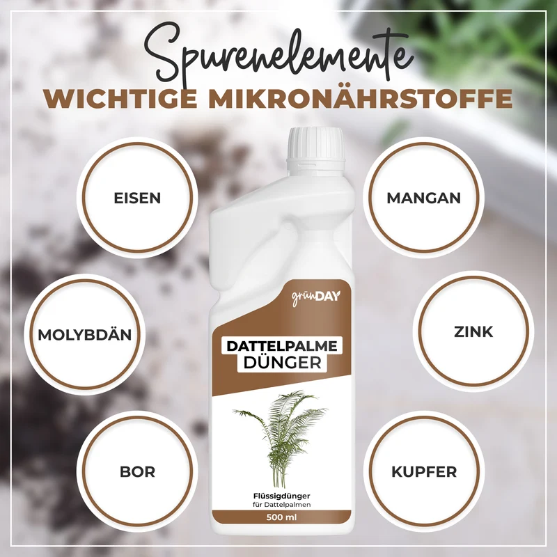 Dattelpalme-Flüssigdünger 500 ml