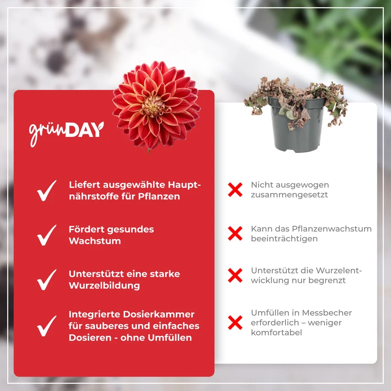 Dahlien-Flüssigdünger 500 ml
