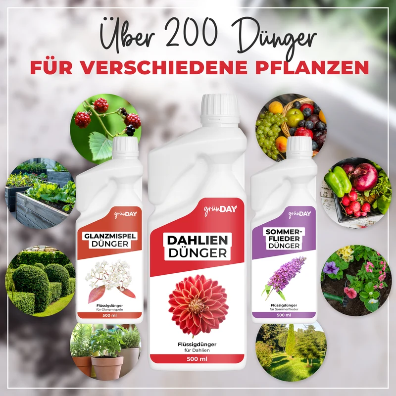 Dahlien-Flüssigdünger 500 ml