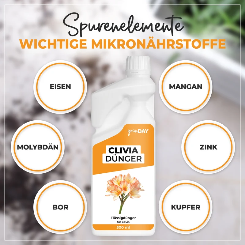 Clivia-Flüssigdünger 500 ml