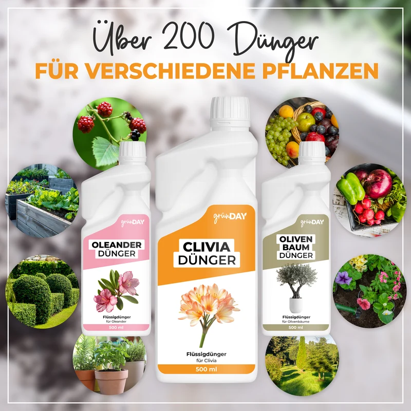 Clivia-Flüssigdünger 500 ml