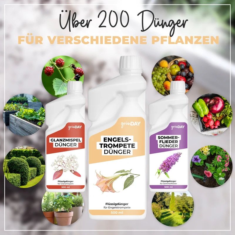 Engelstrompete-Flüssigdünger 500 ml